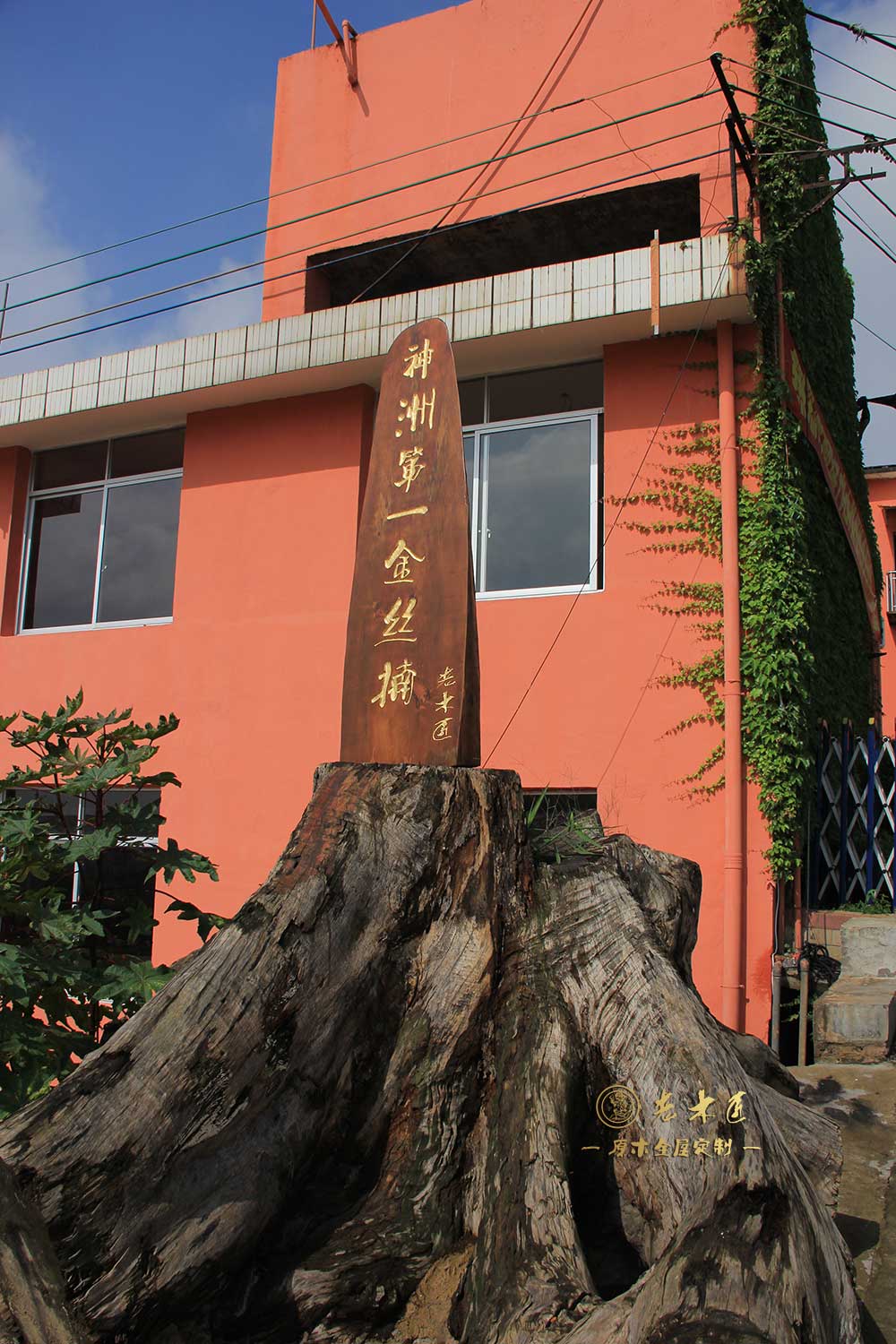 ��ͨ��ľ��װƷ��